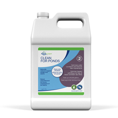 96064 Clean for Ponds - 1 gal / 3.78 L